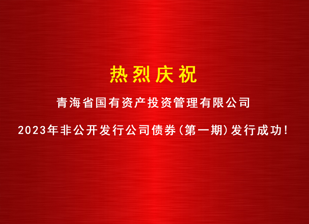 多盈平台官网(中国)有限公司2023年非公开发行公司债券（第一期）发行成功
